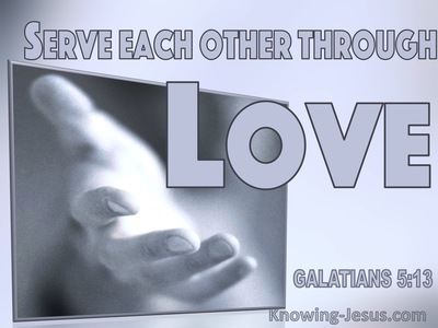 Serve through love